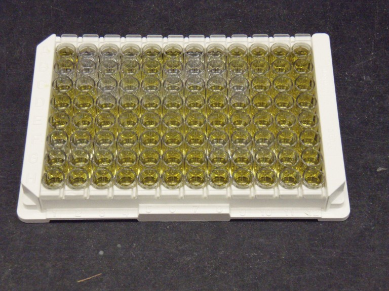 ELISA Kit