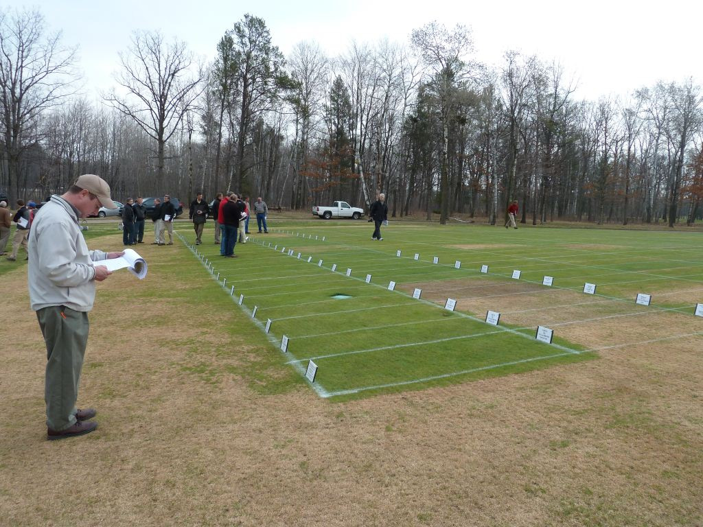 Prof. Koch looks at a clipboard in front of the blight control turf plots.