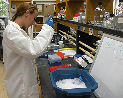 Graduate student in lab using pipette.